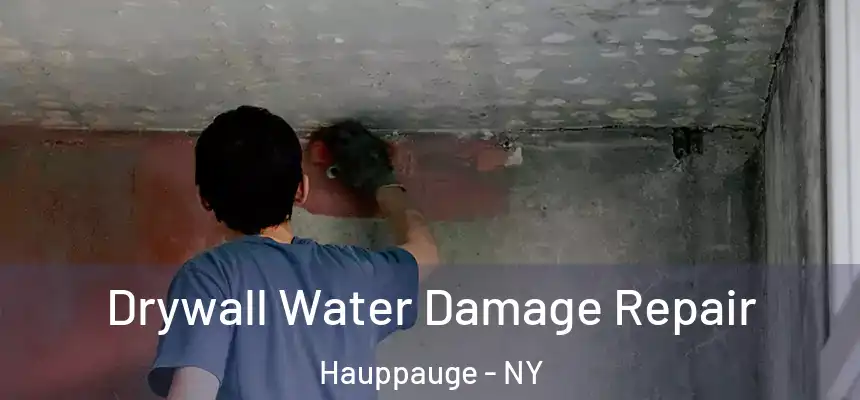  Drywall Water Damage Repair Hauppauge - NY