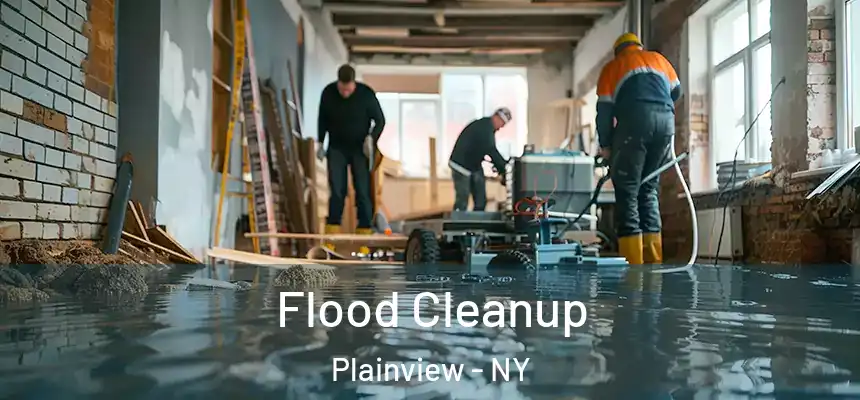  Flood Cleanup Plainview - NY