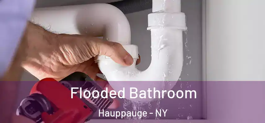  Flooded Bathroom Hauppauge - NY