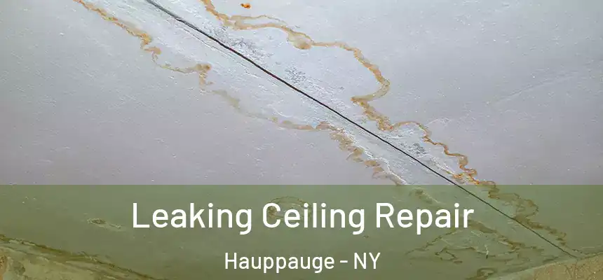  Leaking Ceiling Repair Hauppauge - NY