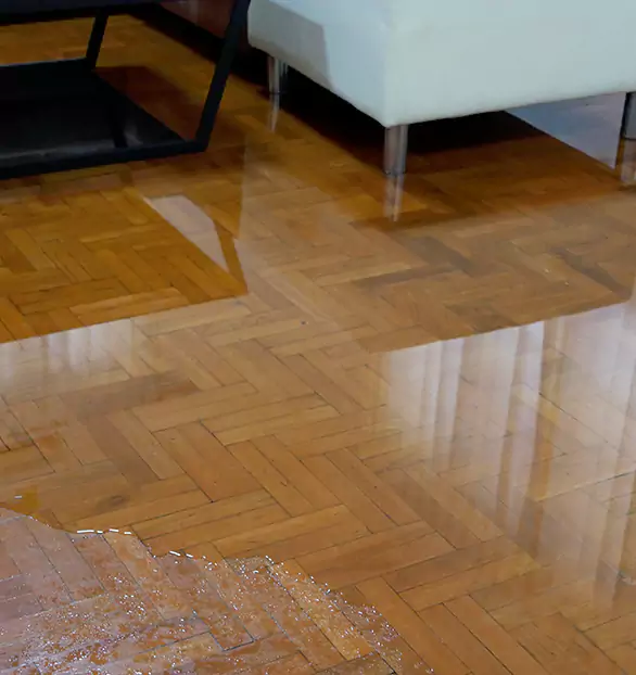 Trusted Emergency Water Restoration Company in Hauppauge, NY