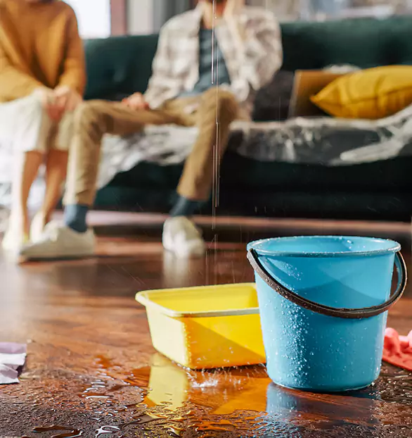 Reliable Water Mitigation Company in Hauppauge, NY