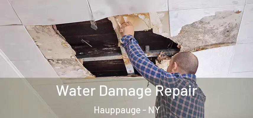 Water Damage Repair Hauppauge - NY