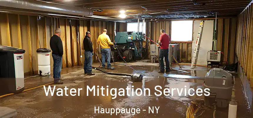  Water Mitigation Services Hauppauge - NY