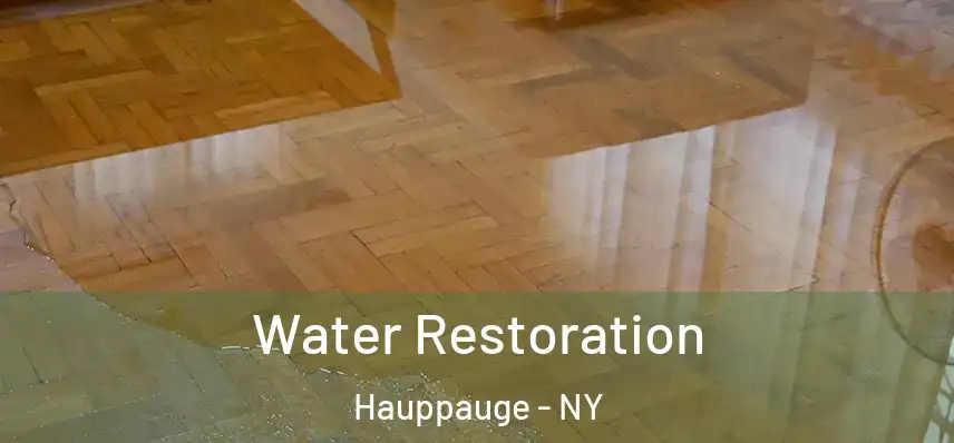  Water Restoration Hauppauge - NY